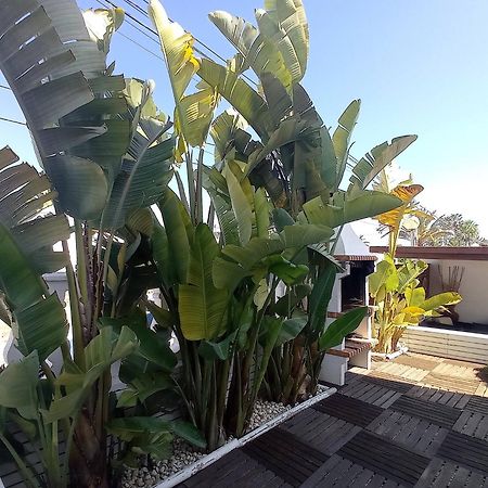 Villa Juncos Can Furnet Esterno foto